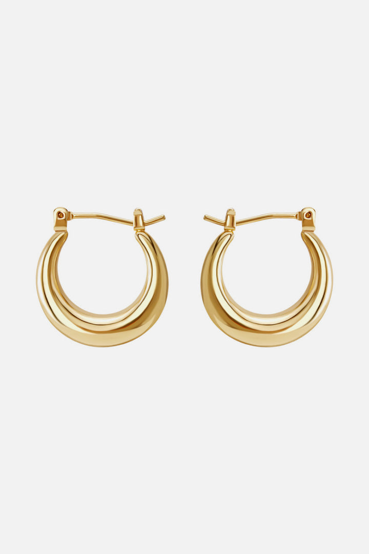 Casual Everyday Hoop Earrings - Cheeky Chic Boutique