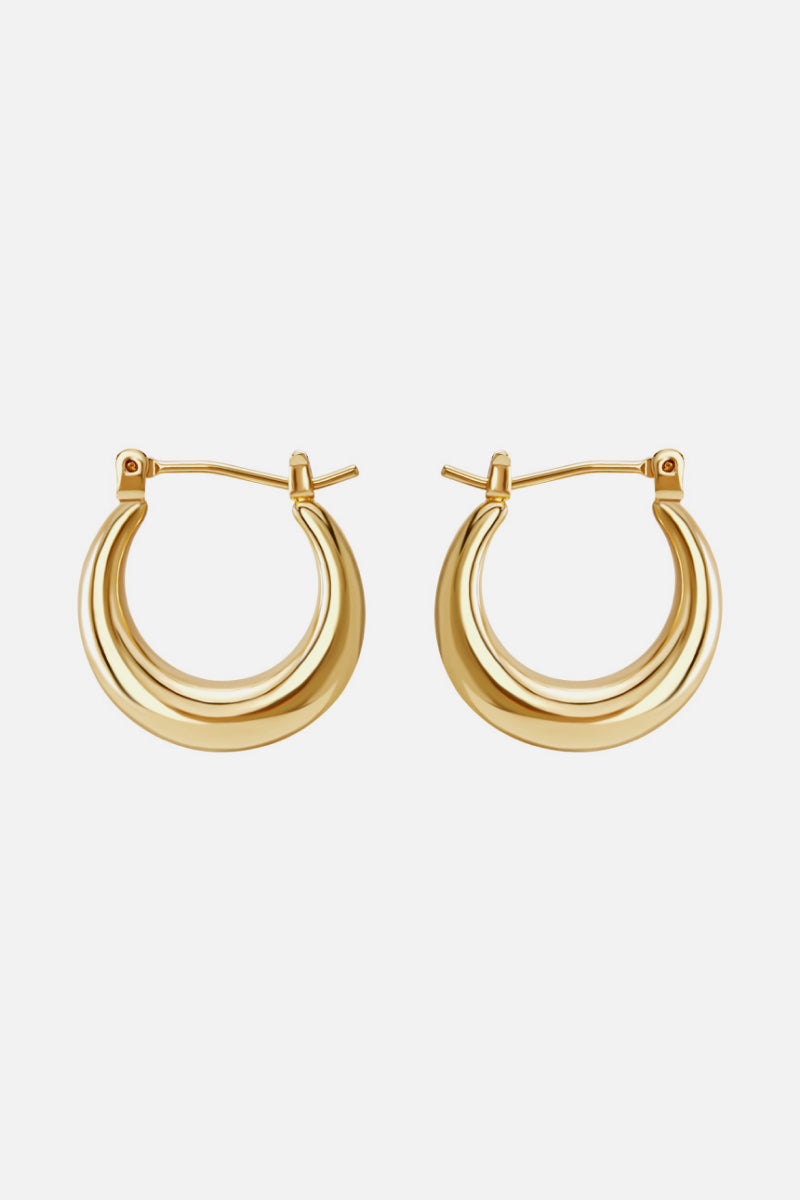 Casual Everyday Hoop Earrings - Cheeky Chic Boutique