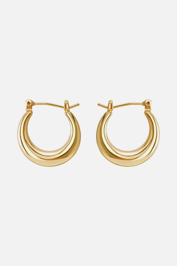 Casual Everyday Hoop Earrings - Cheeky Chic Boutique