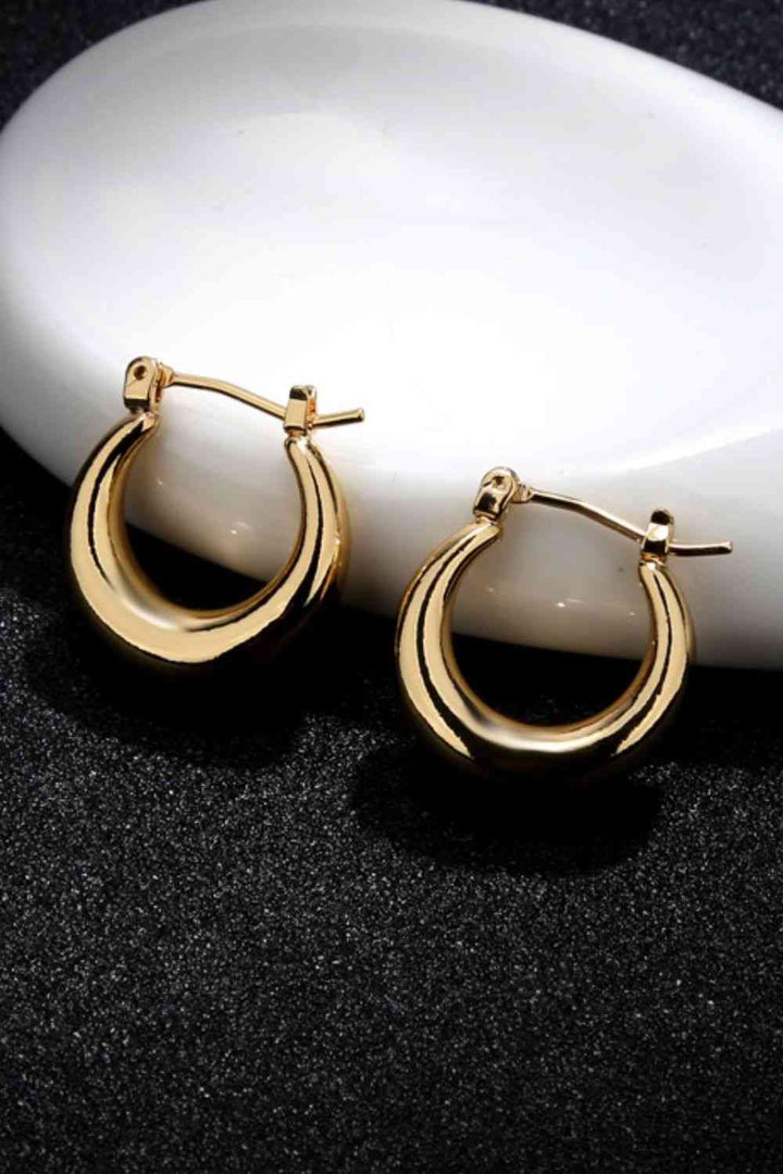 Casual Everyday Hoop Earrings - Cheeky Chic Boutique