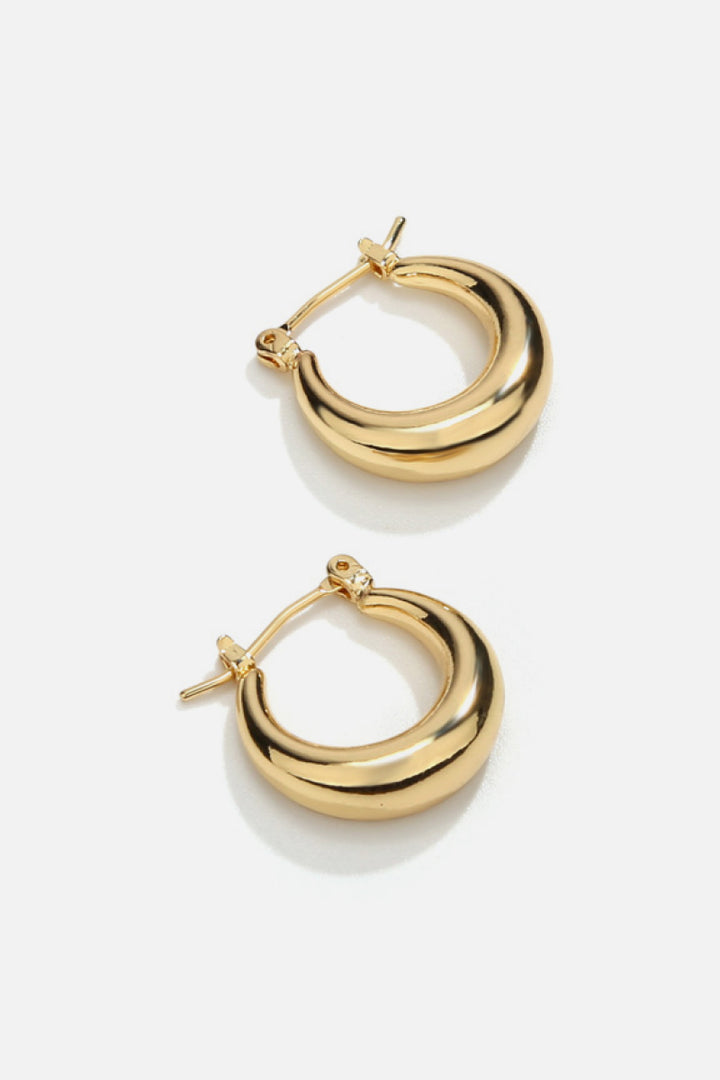 Casual Everyday Hoop Earrings - Cheeky Chic Boutique